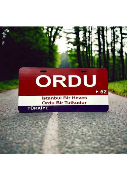 Ordu Ahşap Sokak Tabelası