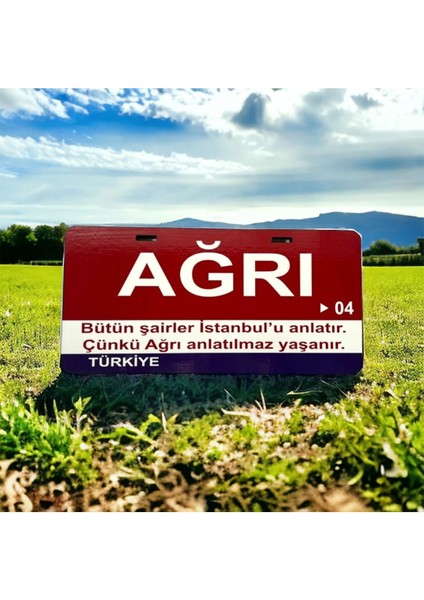 Agrı Ahşap Sokak Tabelası