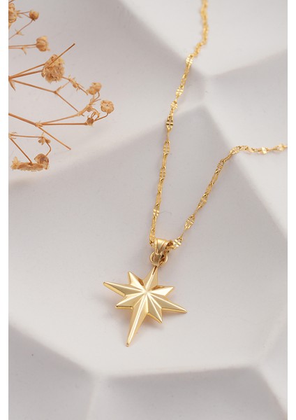 14 Ayar Altın Aynalı Zincir Kutup Yıldızı Altın Kolye fiyatları