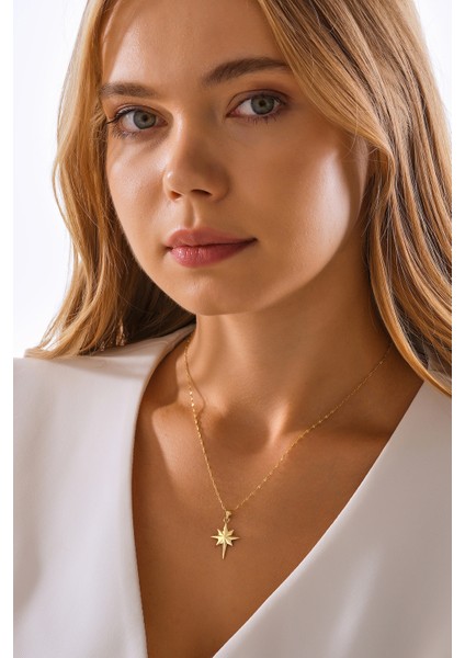 14 Ayar Altın Aynalı Zincir Kutup Yıldızı Altın Kolye fırsatları