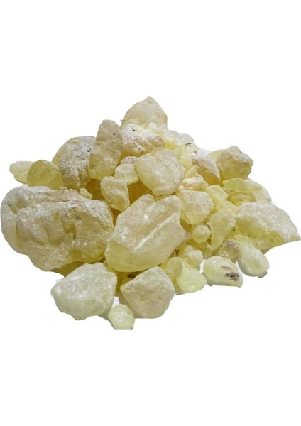 Sandaloz Sakızı Deluxe Seri Organik Lezzetli 100 gr