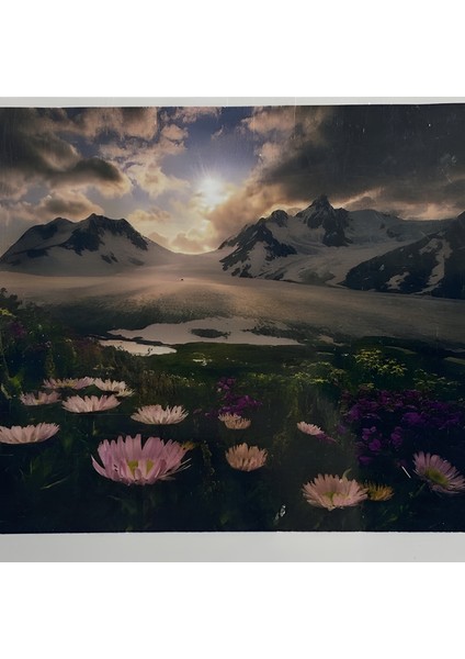 5d Yapışan Boncuk Goblen Mozaik Tablo Pano 40 x 50 cm 76388