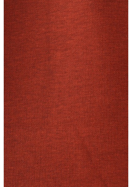 Erkek Sweatshirt LF2038246 LF2038246007 indirimleri