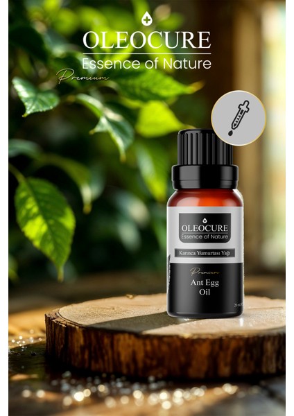 Karınca Yumurtası Yağı (Ant Egg Oil) 20 ml