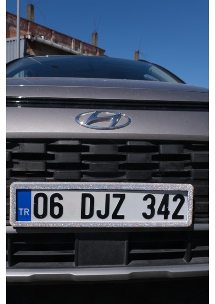Yaldız Plakalık Çifti