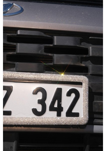 Gümüş Plakalık Çifti