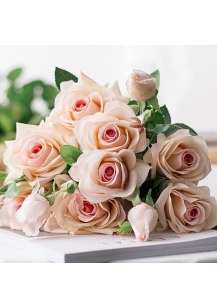 Tüplü Yediveren Cream White Krem Beyazı Kokulu Gül Fidanı