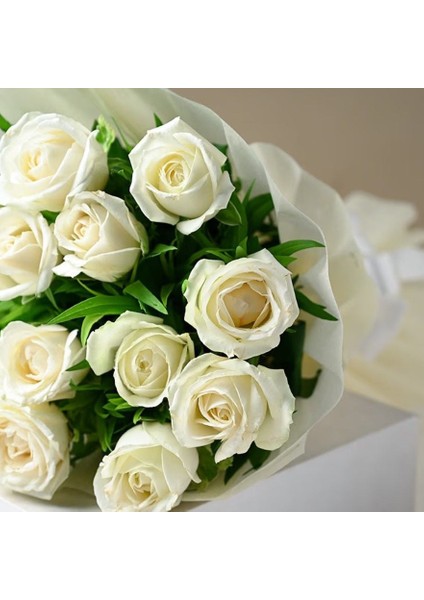 Tüplü Kordes Rosen White Masquerade Yediveren Gül Fidanı