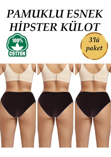 Kadın Külot Pamuklu 3'lü Paket Yüksek Bel Likrali Hipster külot