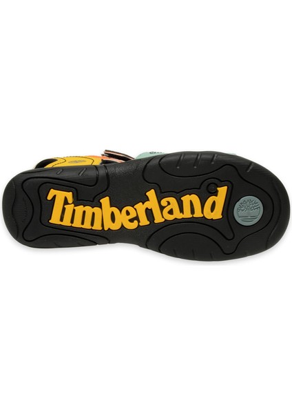 TB0A6C59 Adventure Seeker Backstrap Sandal Unisex Sandalet