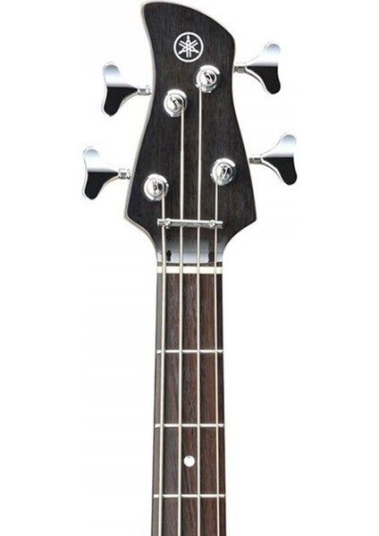 Trbx174 Exotic Wood Trans Black Bas Gitar modelleri