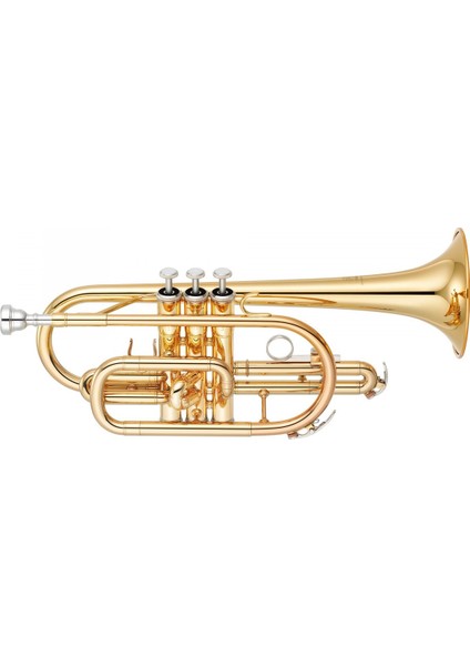 YCR2310 Sib Kornet