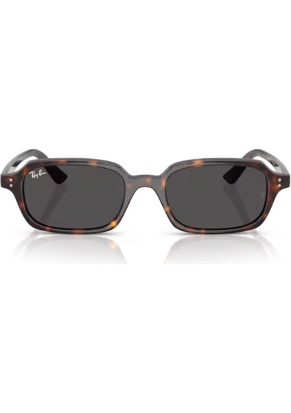 Rb 4455 135987 52 Zuri Unisex Yastık Kırçıllı Kahverengi Kemik Güneş Gözlüğü