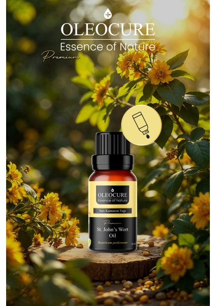 Sarı Kantaron Yağı (St. John's Wort Oil) 20 ml