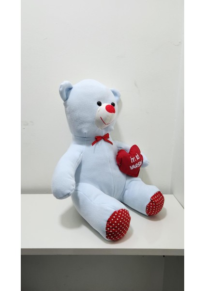 Yastıklı 55 cm Ayı modelleri