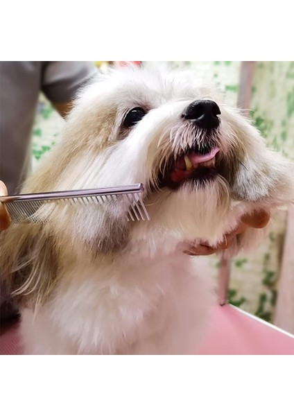 Keluofu 6 Inç Pet Bakım Köpek Saç Makas Seti (Yurt Dışından)