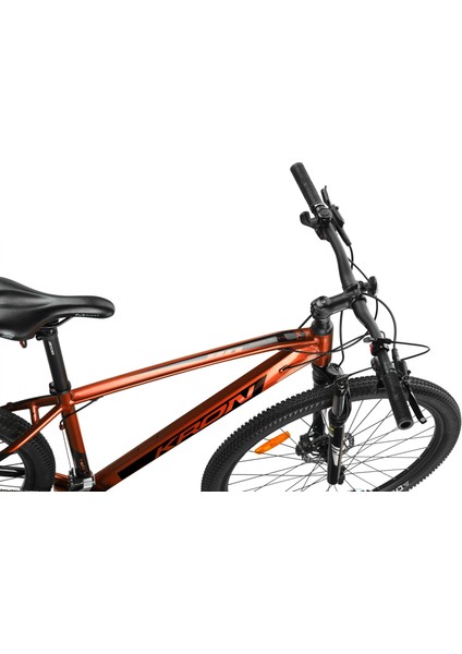 XC300 29HD19 Hidrolik Disk Fren Dağ Bisikleti (180 cm Üstü Boy) fiyatları