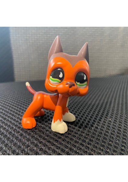 Lps Oyuncak Kedi Nadir Pet Shop Standları Kısa Saç Yavru Köpek Dachshund Collie Great Dane Spaniel Köpek Yavrusu Eski Orijinal Hayvan Koleksiyonu (Yurt Dışından)