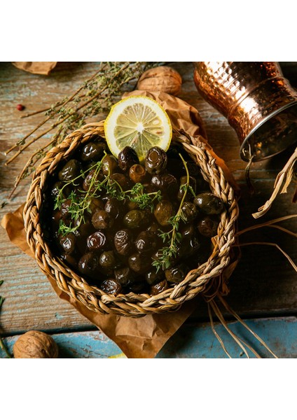 Seneye Meyve Verebilir Durumda Yağlılık Selelik Sofralık Gemlik Trilye Zeytin Fidanı (100-150 Cm)