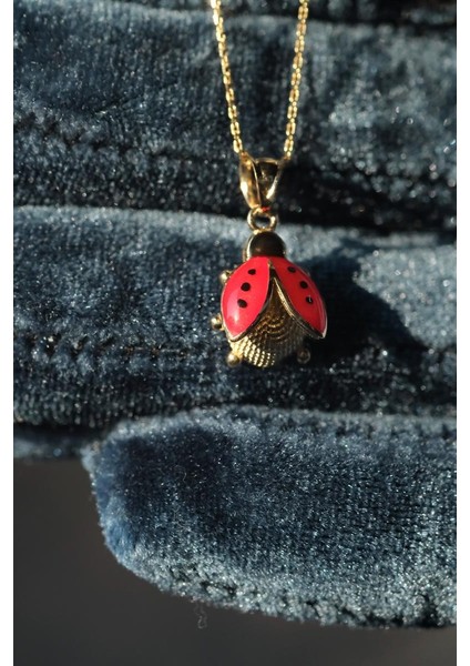 14 Ayar Altın Uğur Böceği Dikiz Süsü fiyatları