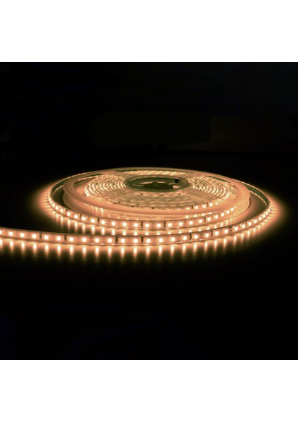 50 Metre Hortum Şerit LED 8W 800 Lümen 220 Volt Fişli