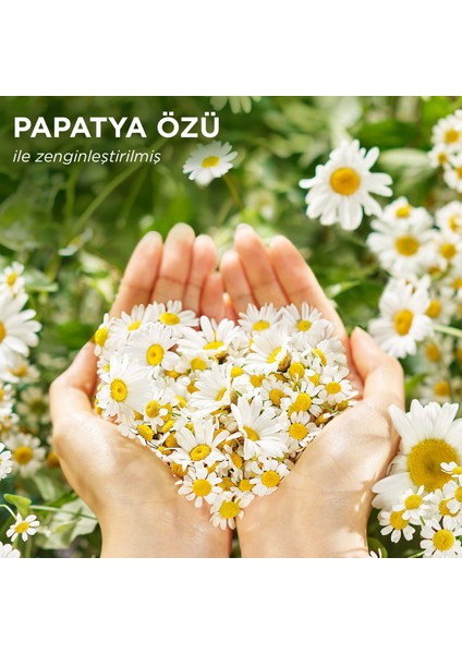 Papatya Kokulu Şampuan 350 ml