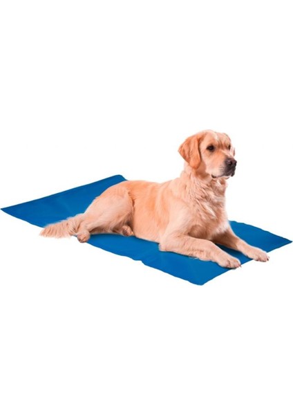 Serinleticili Köpek Yatağı XXL 50x90 cm Mavi