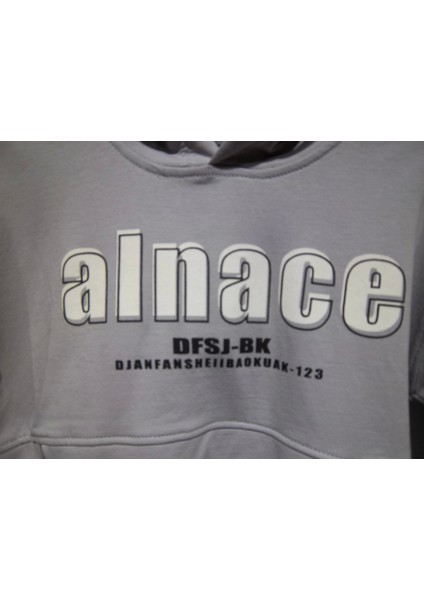 Alnace Baskılı Kapüşonlu Sweatshırt fiyatları