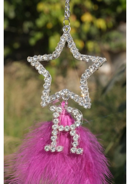 Gümüş Yıldız Altına Harf Tüy Seçenekli Dikiz Süsü modelleri