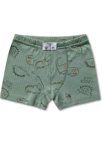 %100 Pamuklu Dinozor Desenli Erkek Çocuk Boxer Külot Iç Çamaşır 6lı Set