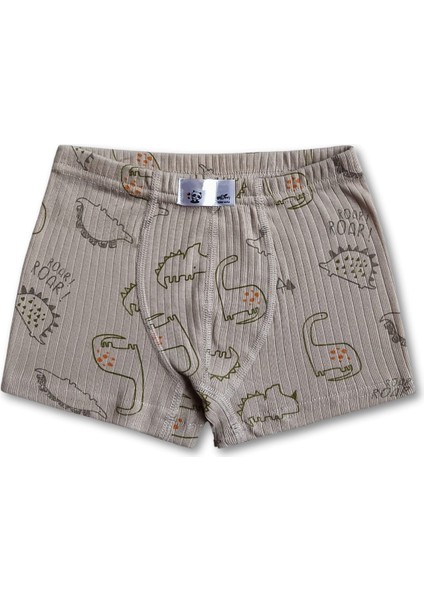 %100 Pamuklu Dinozor Desenli Erkek Çocuk Boxer Külot Iç Çamaşır 6lı Set