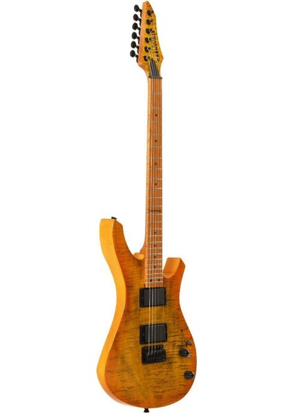 ZX10 Elektro Gitar fiyatları