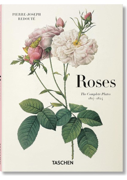 Redoute Roses - Pierre Joseph Redoute