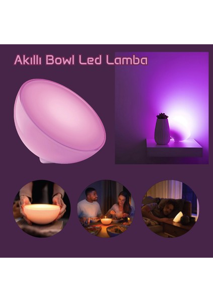 Onvec Smart Bowl Lamba