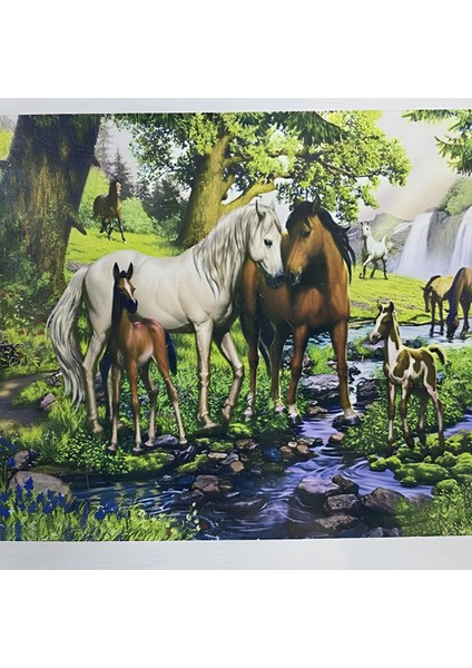 5d Yapışan Boncuk Goblen Mozaik Tablo Pano 40 x 50 cm 76404