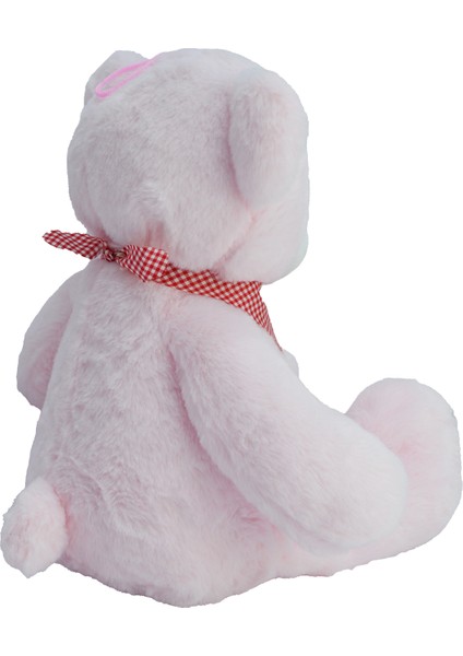 Fularlı Ayı Peluş 50 cm 62069