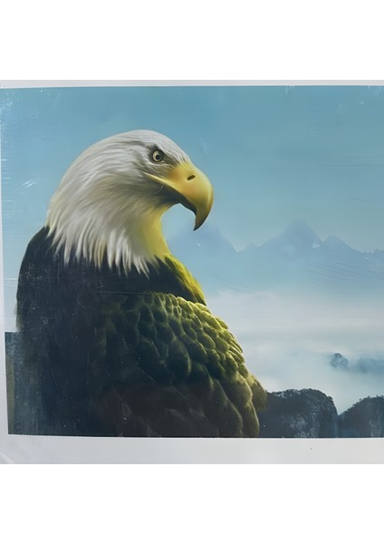 5d Yapışan Boncuk Goblen Mozaik Tablo Pano 40 x 50 cm 76211