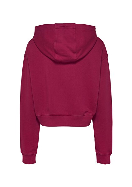 Tjw Rlx Crp Scrıpt Hoodıe Ext
