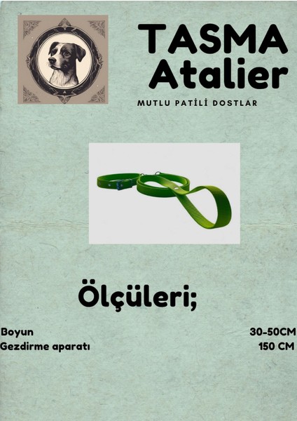 Orta Boy Gezdirmeli Köpek Tasması fırsatları