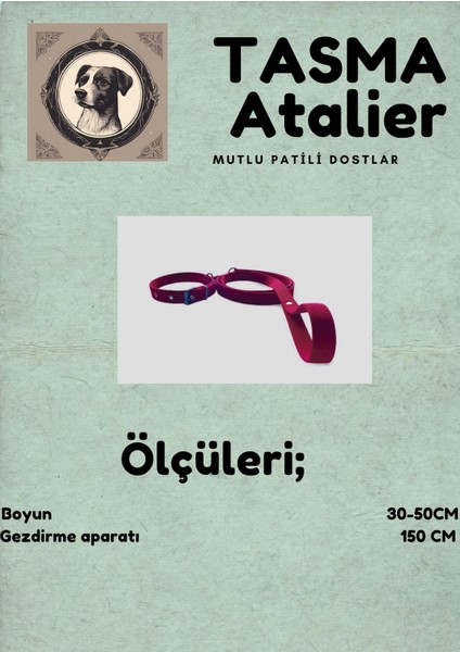 Orta Boy Gezdirmeli Köpek Tasması