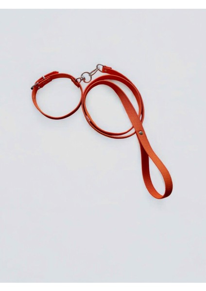 Orta Boy Gezdirmeli Köpek Tasması fiyatları