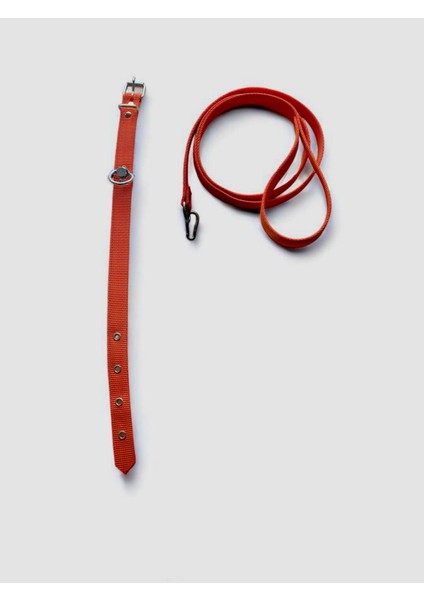 Orta Boy Gezdirmeli Köpek Tasması modelleri