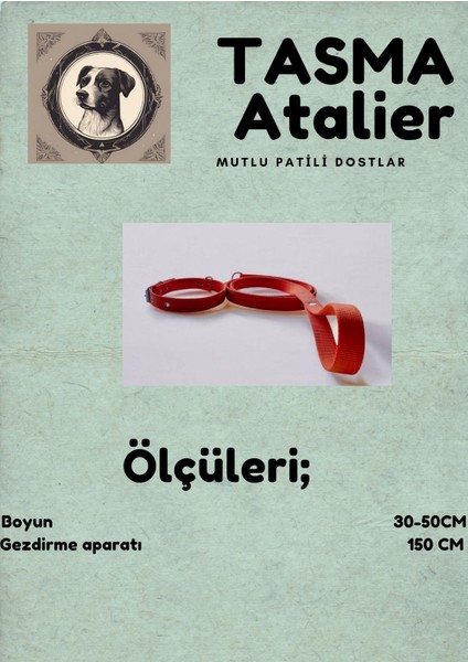 Orta Boy Gezdirmeli Köpek Tasması fırsatları