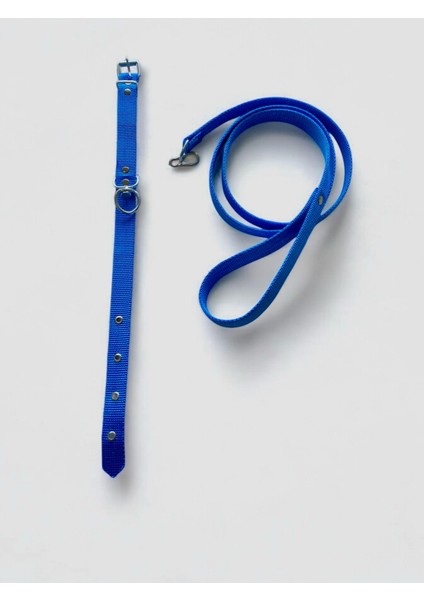 Orta Boy Gezdirmeli Köpek Tasması modelleri