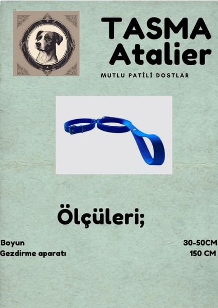 Orta Boy Gezdirmeli Köpek Tasması fırsatları