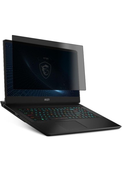 Msı Vector GP76 17.3 Inç Hayalet Ekran Koruyucu 16:9 Şeffaf