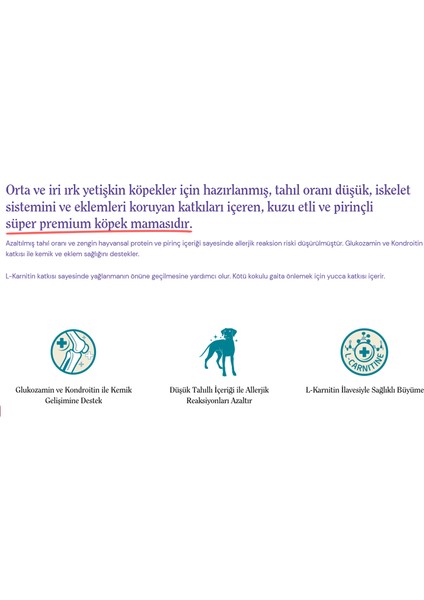 Orta ve İri Irk Yetişkin Köpek Maması Kuzu Etli 12 kg