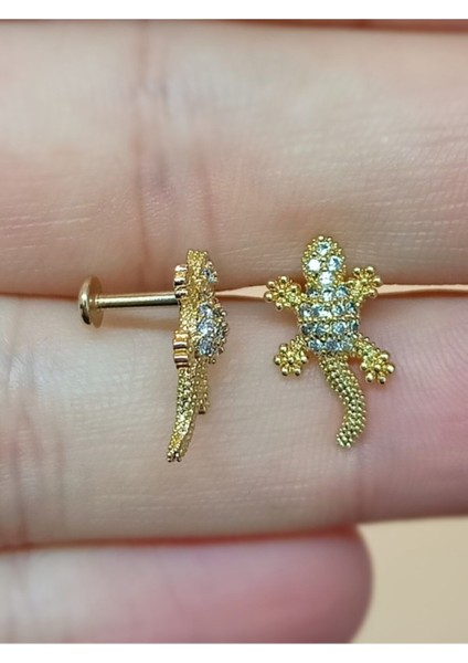 Kadın Gold Rengi Kertenkele Tragus Helix Piercing