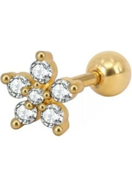 Tragus-Helix Kulak Piercing