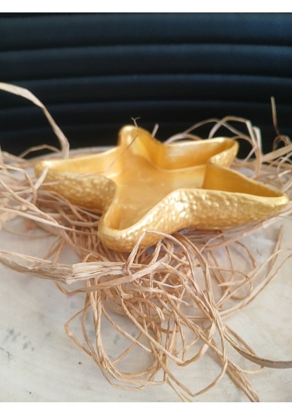 Büyük Boy Deniz Yıldızı Tabak & Makyaj Organizer Diş Fırçalık fırsatları